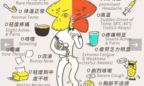 中药五味子的功效与作用简介网 - 网站提供五味子有什么功效小常识、中药五子衍宗丸的功效与作用